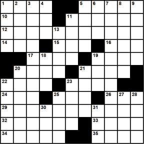 American 11x11 puzzle no.322