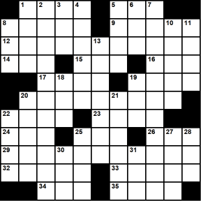 American 11x11 puzzle no.333