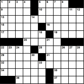 American 11x11 puzzle no.335