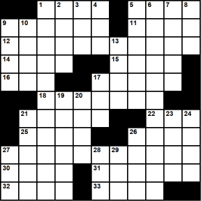 American 11x11 puzzle no.376