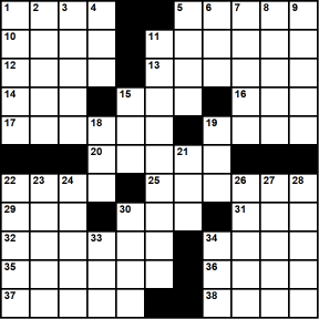 American 11x11 puzzle no.382