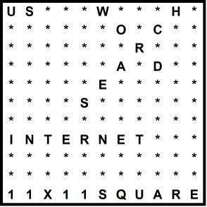 American 11x11 Wordsearch puzzle no.331 - internet