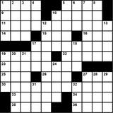 American 11x11 puzzle no.313