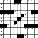 American 11x11 puzzle no.314