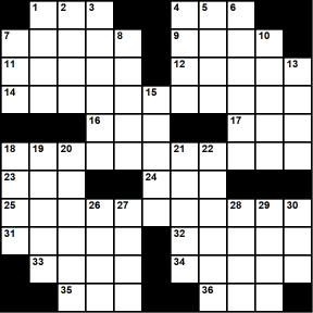 American 11x11 puzzle no.331
