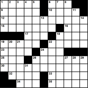 American 11x11 puzzle no.341