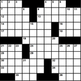 American 11x11 puzzle no.344
